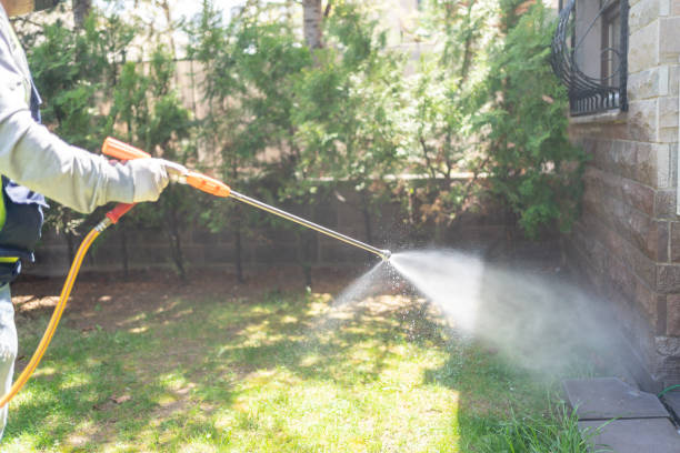 Best Local Pest Control Services  in Minersville, PA