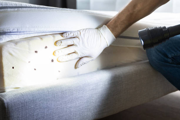 Best Best Pest Control Companies  in Minersville, PA