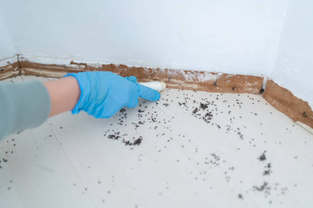 Best Best Pest Control Companies  in Minersville, PA